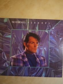 The Associates 2CD  - Perhaps