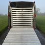 12x6 ifor Williams cattle trailer Image 6