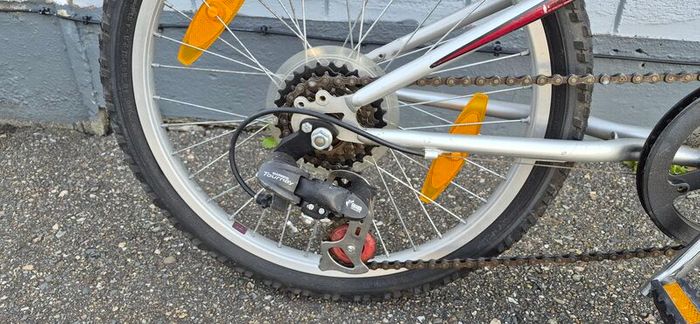 Tag along bike
