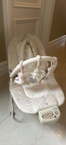 Baby Bouncer