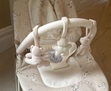 Baby Bouncer