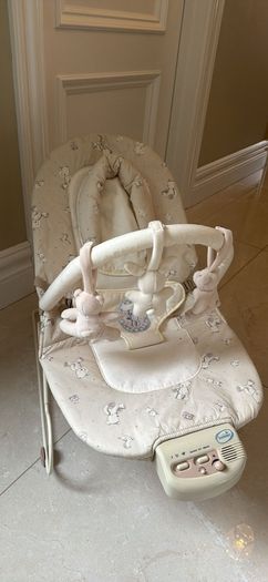 Baby Bouncer