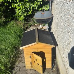 Dog Kennel