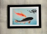 main image for ad Laminate Glossy 280gsm Canvas Poster A4 Size Featuring Common and Golden Carp (1935) by Ohara Coson