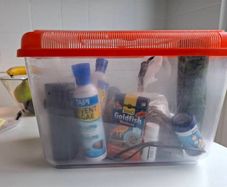 goldfish starter tank and equipment