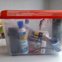goldfish starter tank and equipment