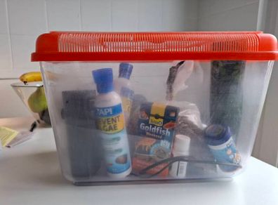 goldfish starter tank and equipment