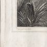 French Framed Pictures. 38. Image 7