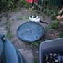 compost bin Free Image 3