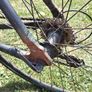 Road bike Image 4