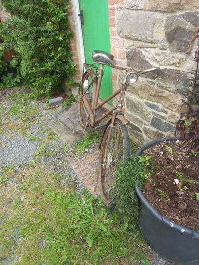 Vintage Bicycles