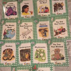 As new - Jolly Phonics Level 3 complete set - 18 books
