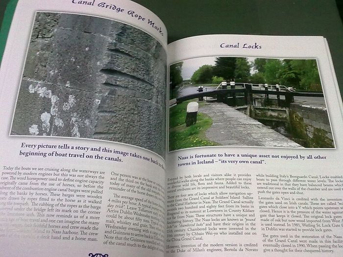 Nas na Riogh Ireland Irish Naas Kildare local history Signed