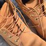timberland Image 3