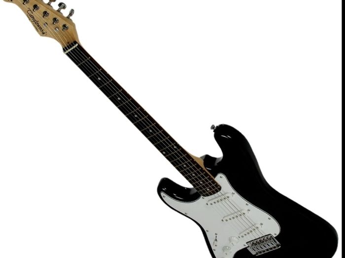 Tanglewood lefty