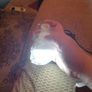 solar Lights Image 5
