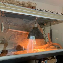 Vivarium bundle
