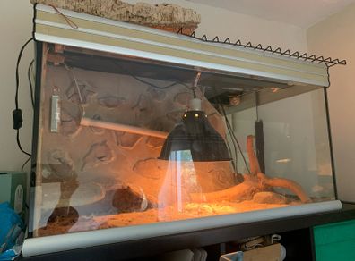 Vivarium bundle