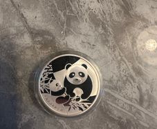 2014 Baby Panda Shanghai Mint