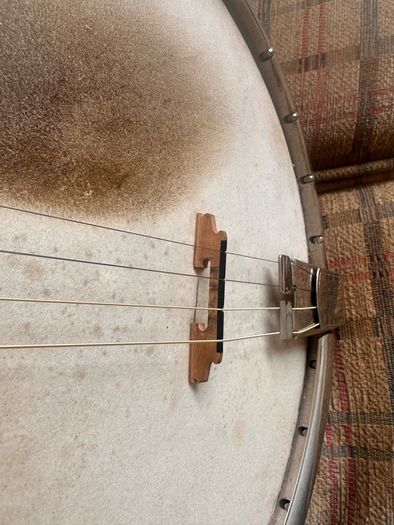 Bacon and Day Senorita Tenor Banjo