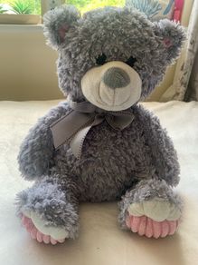 Plush teddy beautiful and soft