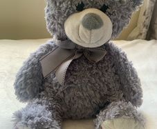 Plush teddy beautiful and soft