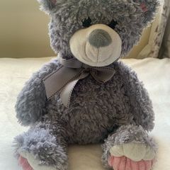 Plush teddy beautiful and soft