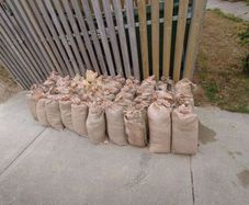 Free Sand