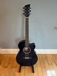 Acoustic guitar