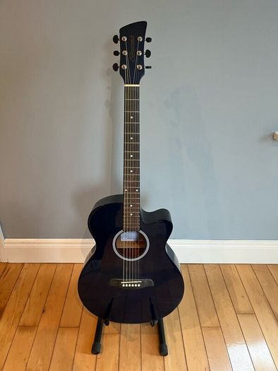 Acoustic guitar