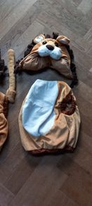 Lion costumes