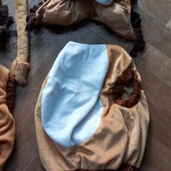 Lion costumes