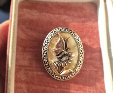 Vintage Cameo Butterfly Brooch
