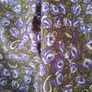 Charming Designer Manlio Bonetti Wool Scarf/Shawl Image 5