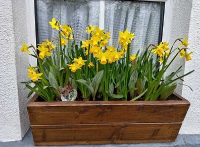 Planters & Window Boxes- Made to Order