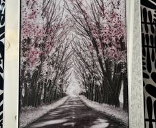 mirrored picture