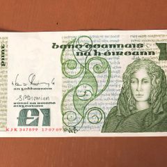 Irish one pound punt note