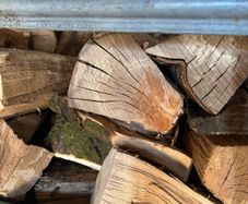 Firewood Kiln dried Beech and Ash.