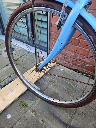 ladys bike