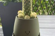 Happy Pot Planter