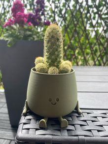 Happy Pot Planter