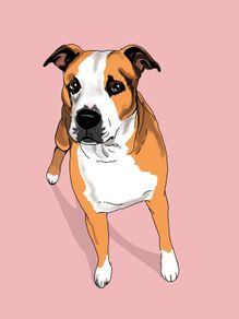 Digital pet portraits
