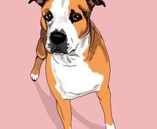 Digital pet portraits
