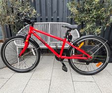 Frog Bike
