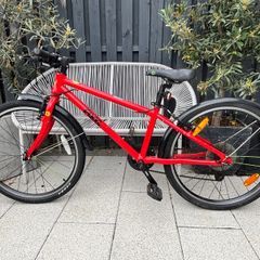 Frog Bike