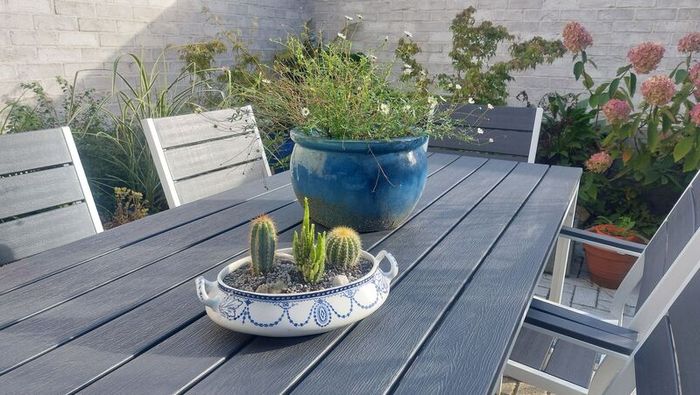 Fabulous Antique W. Adams Two-Handled Tureen with Cacti Garden - A Fabulous Unique and Decorative Item for Display Indoors