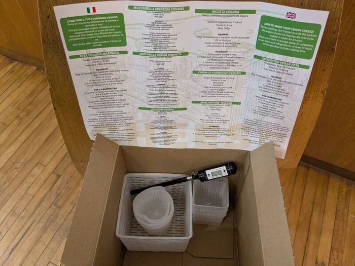 Expired Vegan Cheesemaking Kit