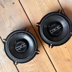 13cm speaker