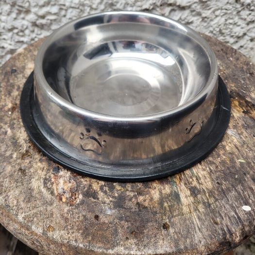 large dog bowl