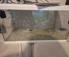 fish tanks